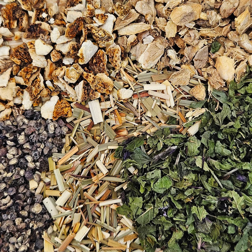 Autumnal-Equinox-1.webp